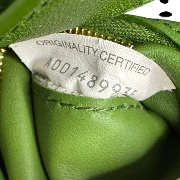 Bottega Veneta NWT Intrecciato Leather Padded Cassette in Avocado - Picture 16 of 16